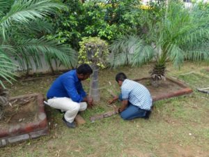 Students Contribution for National Weed Your Garden Day – 13 June 2019